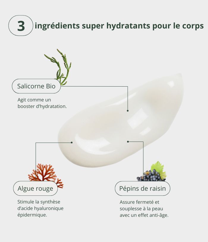 Salicornia moisturizing milk