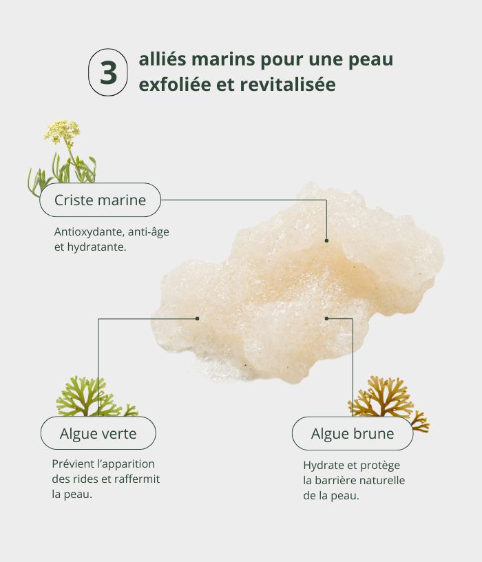 Sea Fennel Exfoliating Granita
