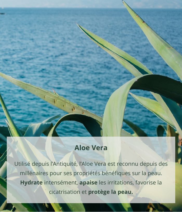 Micellar cleansing water with aloe vera