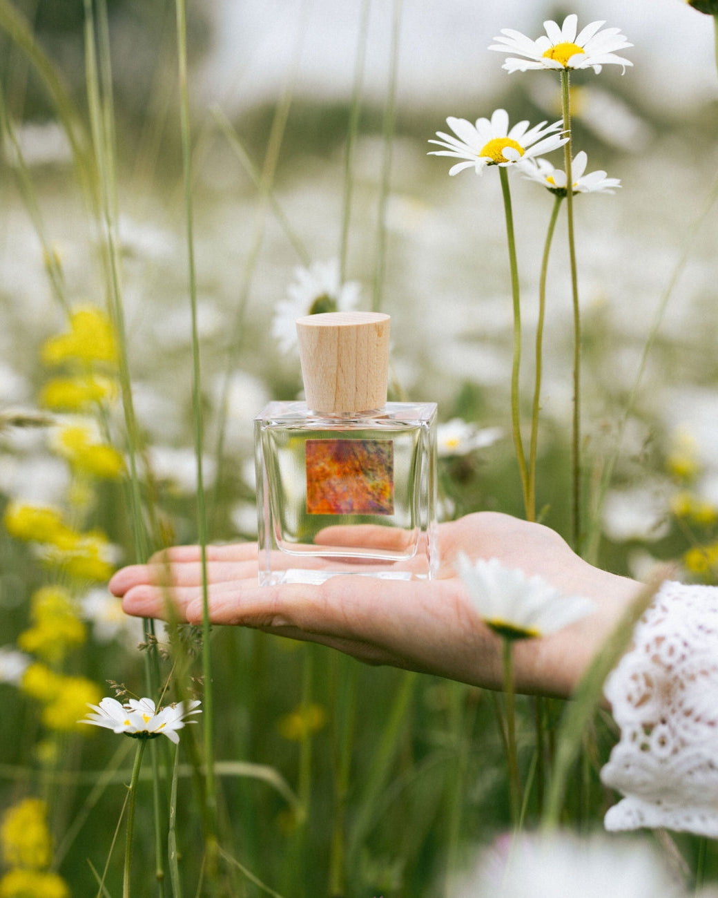 Arcadia Floral