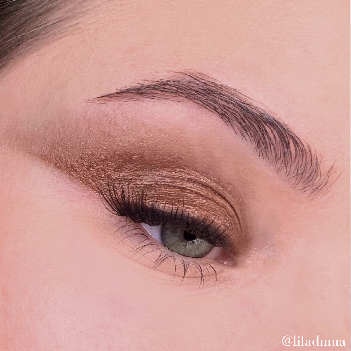Eyeshadow | Copper 310