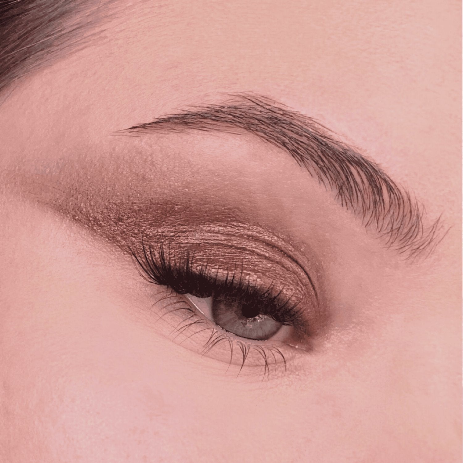4 Eyeshadow Kit | THE BEST OF