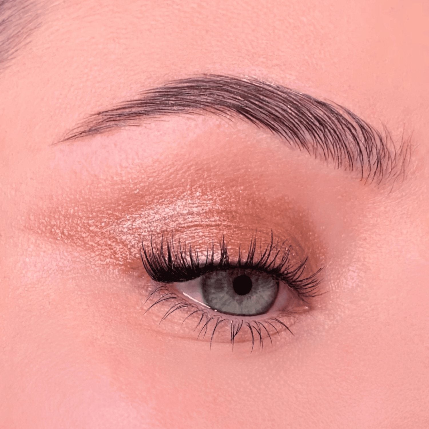 4 Eyeshadow Kit | THE BEST OF