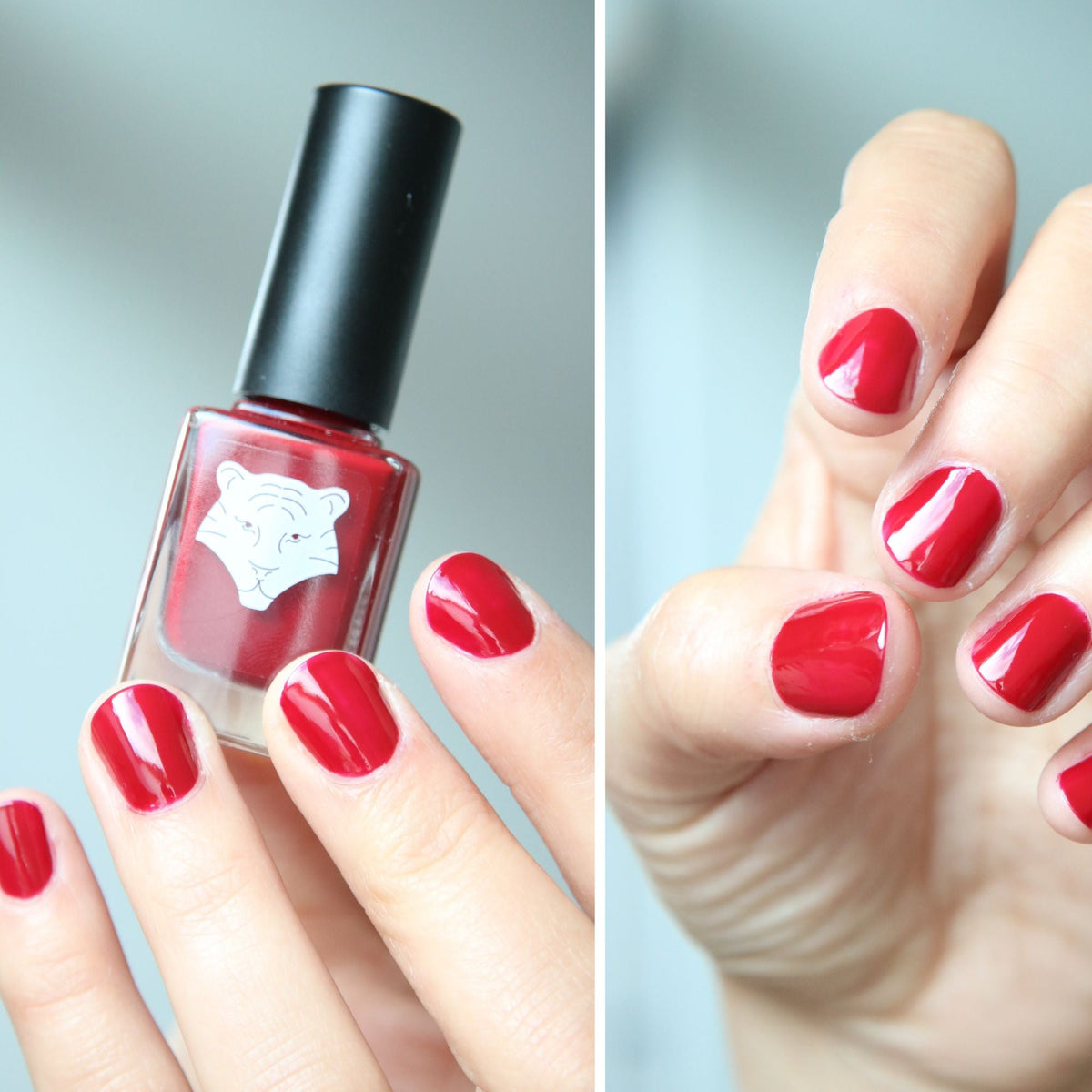 Nail Polish | Bordeaux Red 207