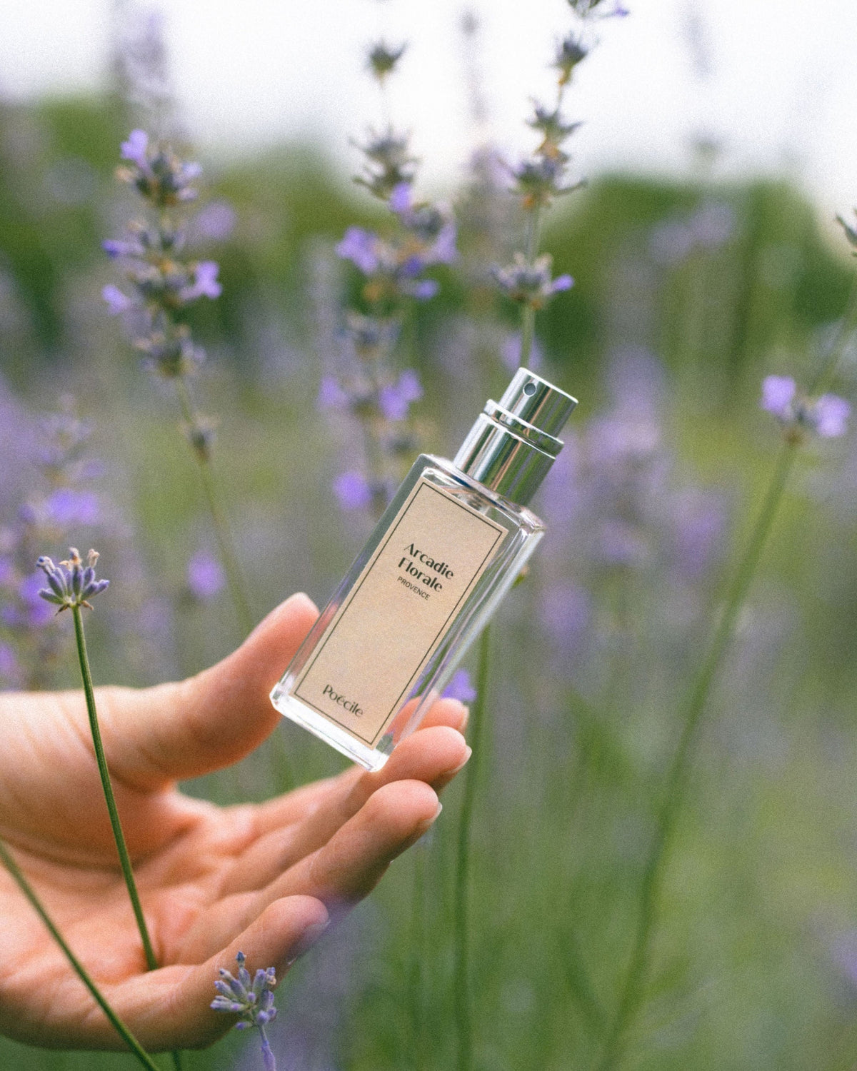 Arcadia Floral