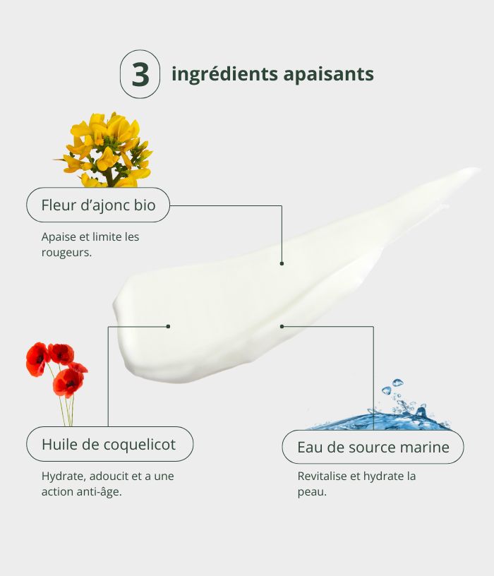Soothing Cream with Organic Gorse Water