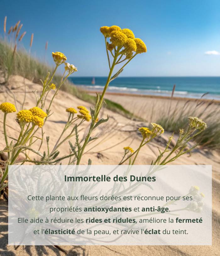 Dune Immortelle Anti-Aging Cream