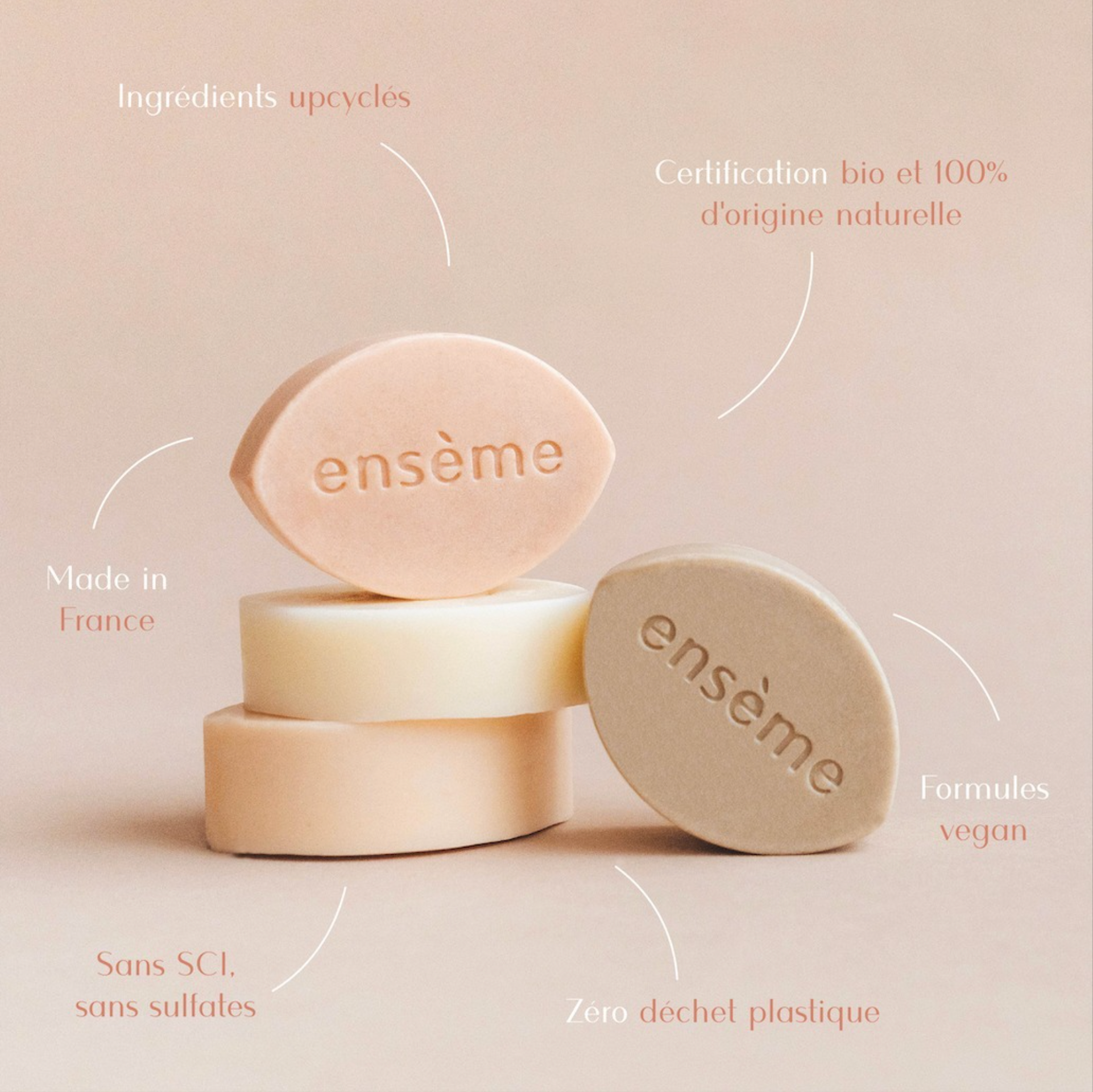 Shampoing solide - Cheveux secs ou colorés