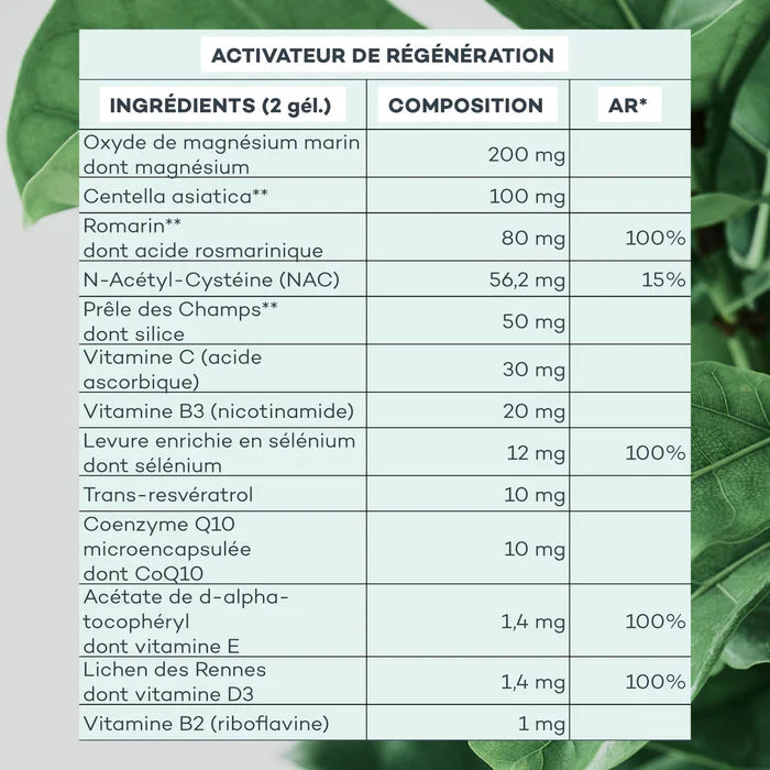 Programme Peau-Parfaite - Peau régénérée, purifiée et matifiée