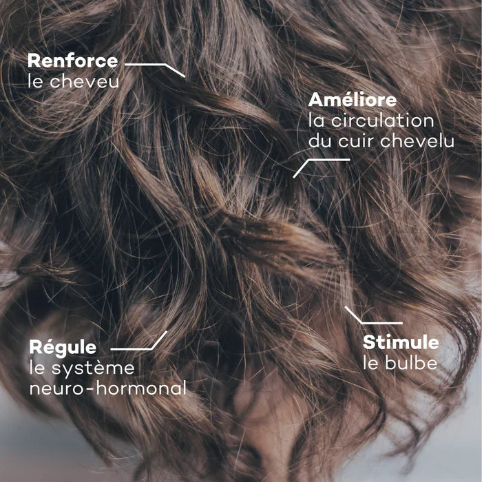 Programme Masse-Capillaire - Anti-chute & Redensifiant