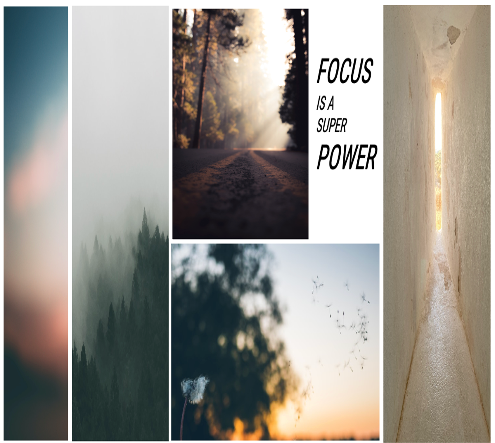 The Power of Flow - Eau de Parfum - Focus