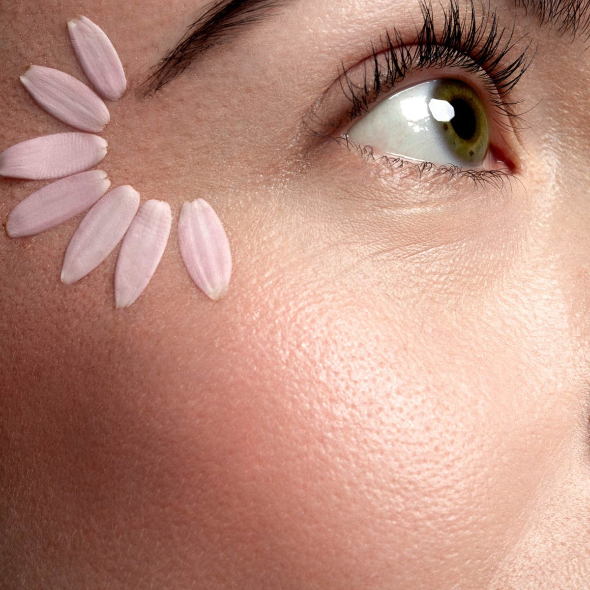 I Blush & Highlighter Dual Powder