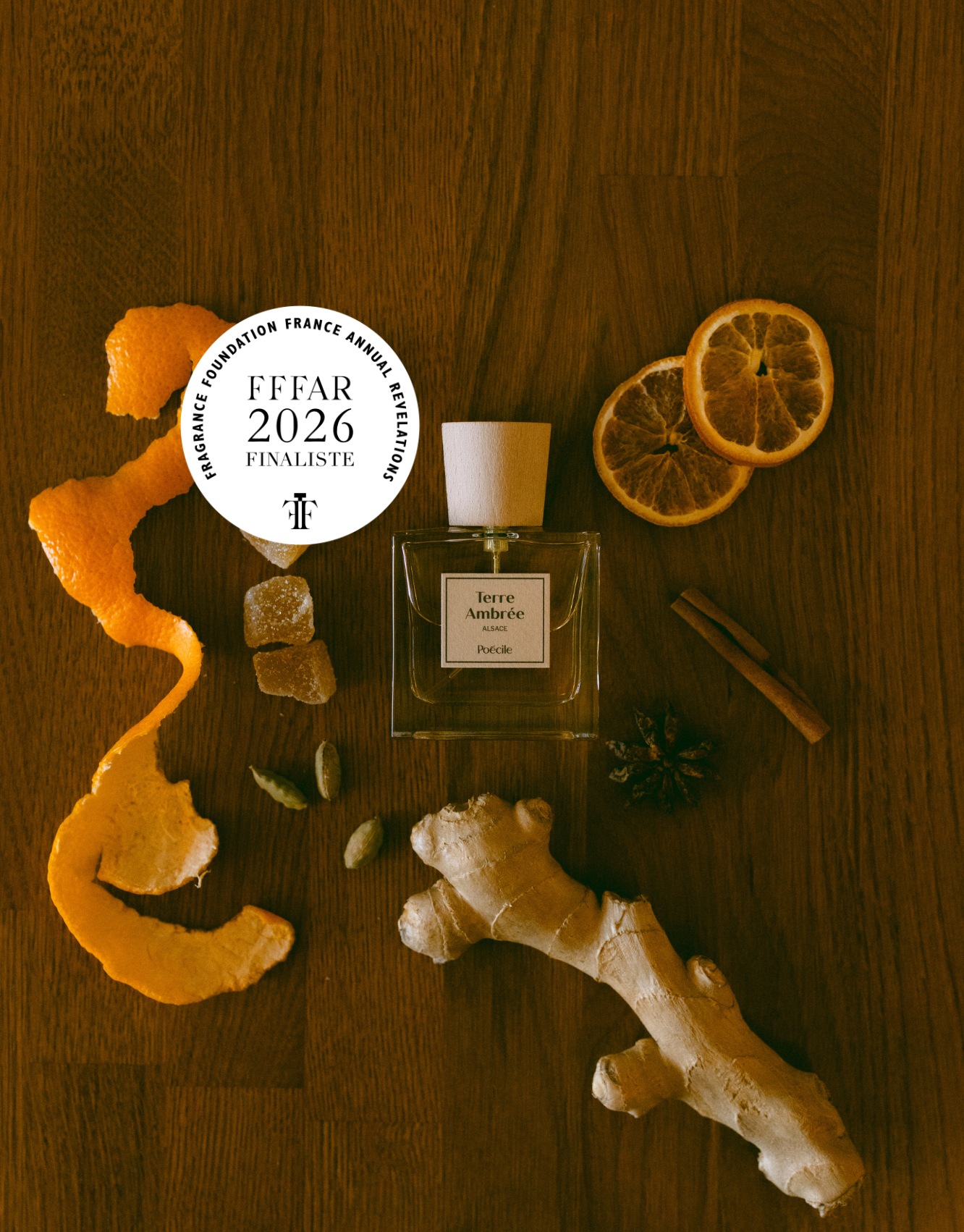 Amber Land
