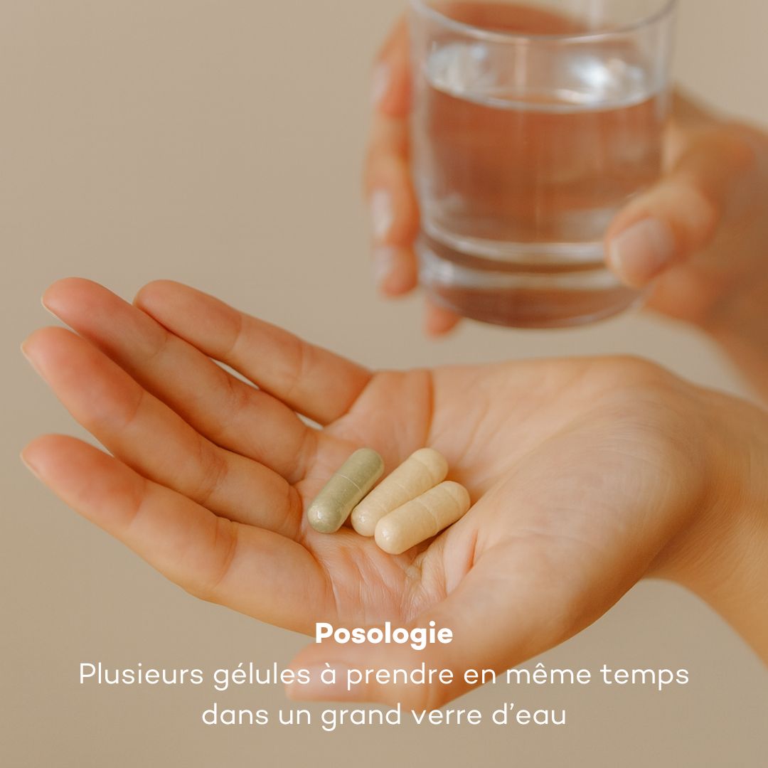 Programme Ventre-Plat