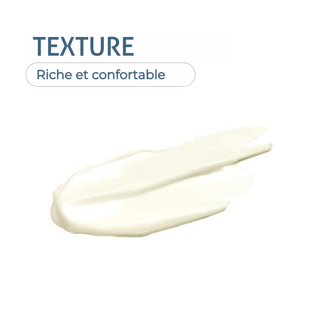 Regenerating night cream