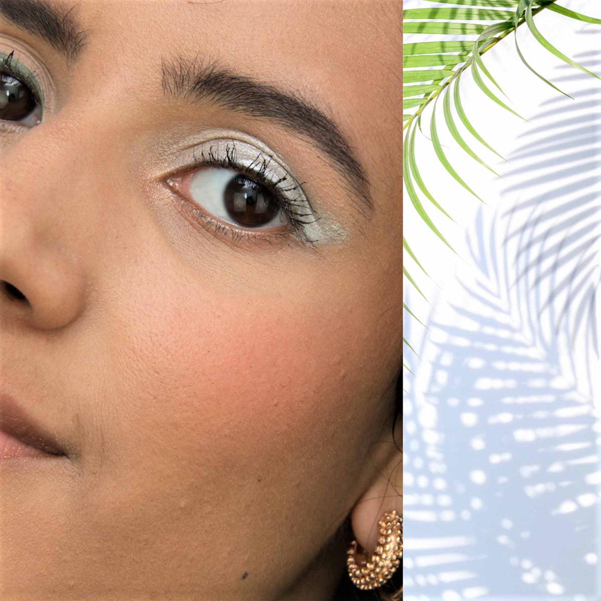 Eyeshadow | Silver Gray 301