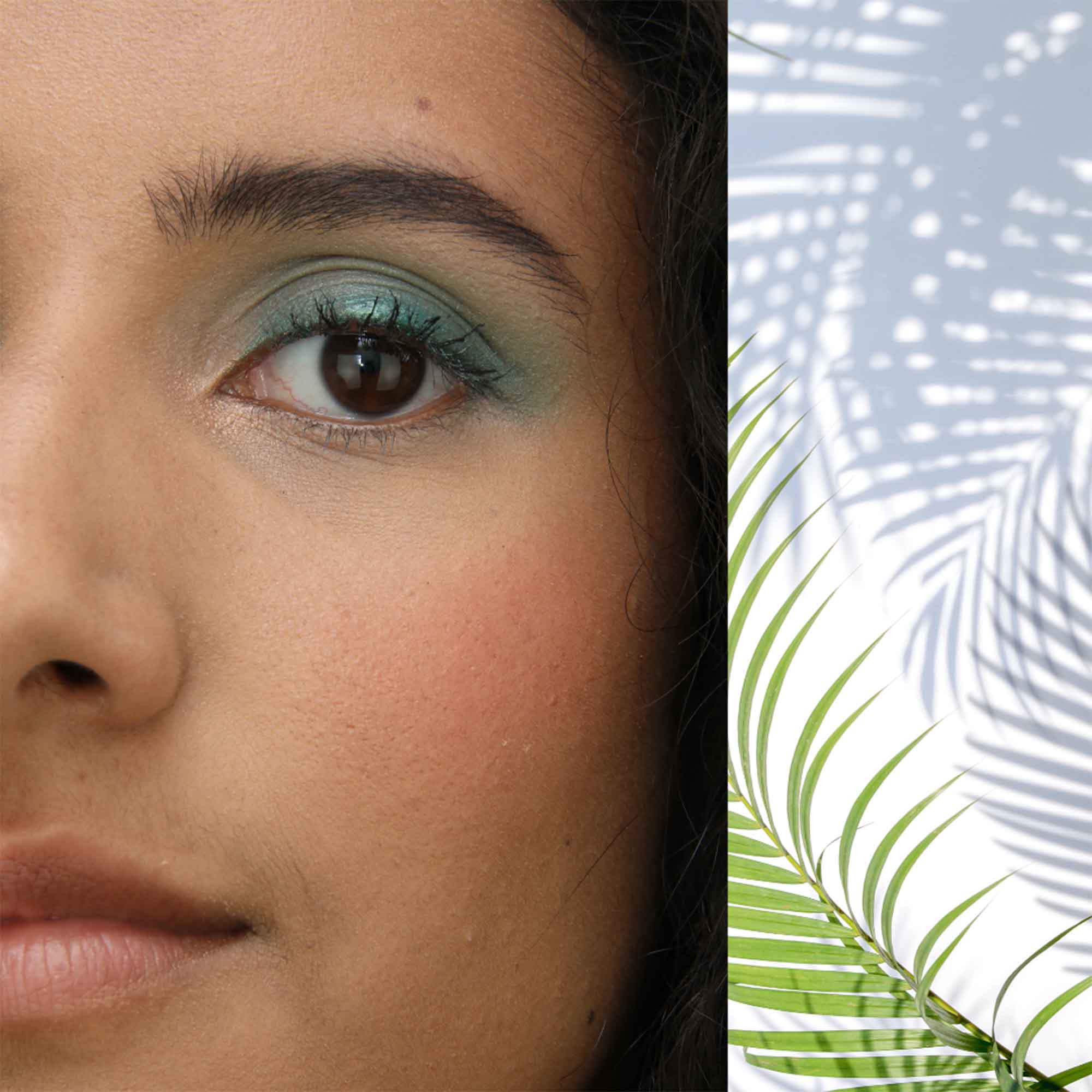 Eyeshadow | Green 305