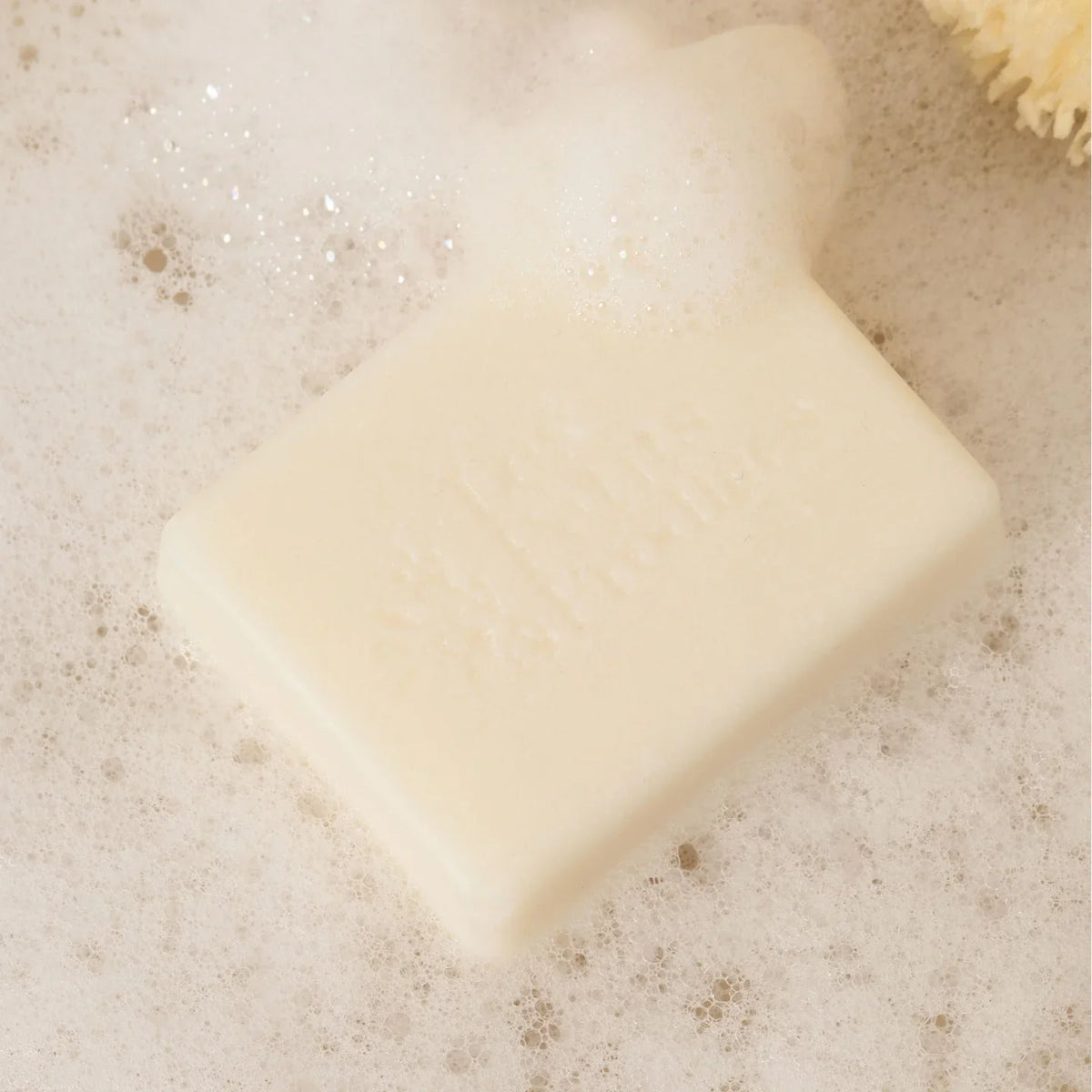 Shampoing Solide Amande