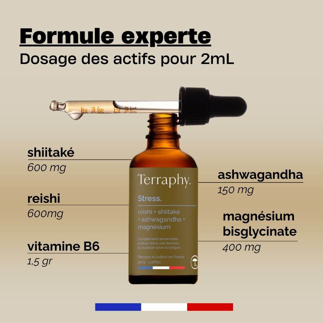 Mushroom Power Pack. 4 vials