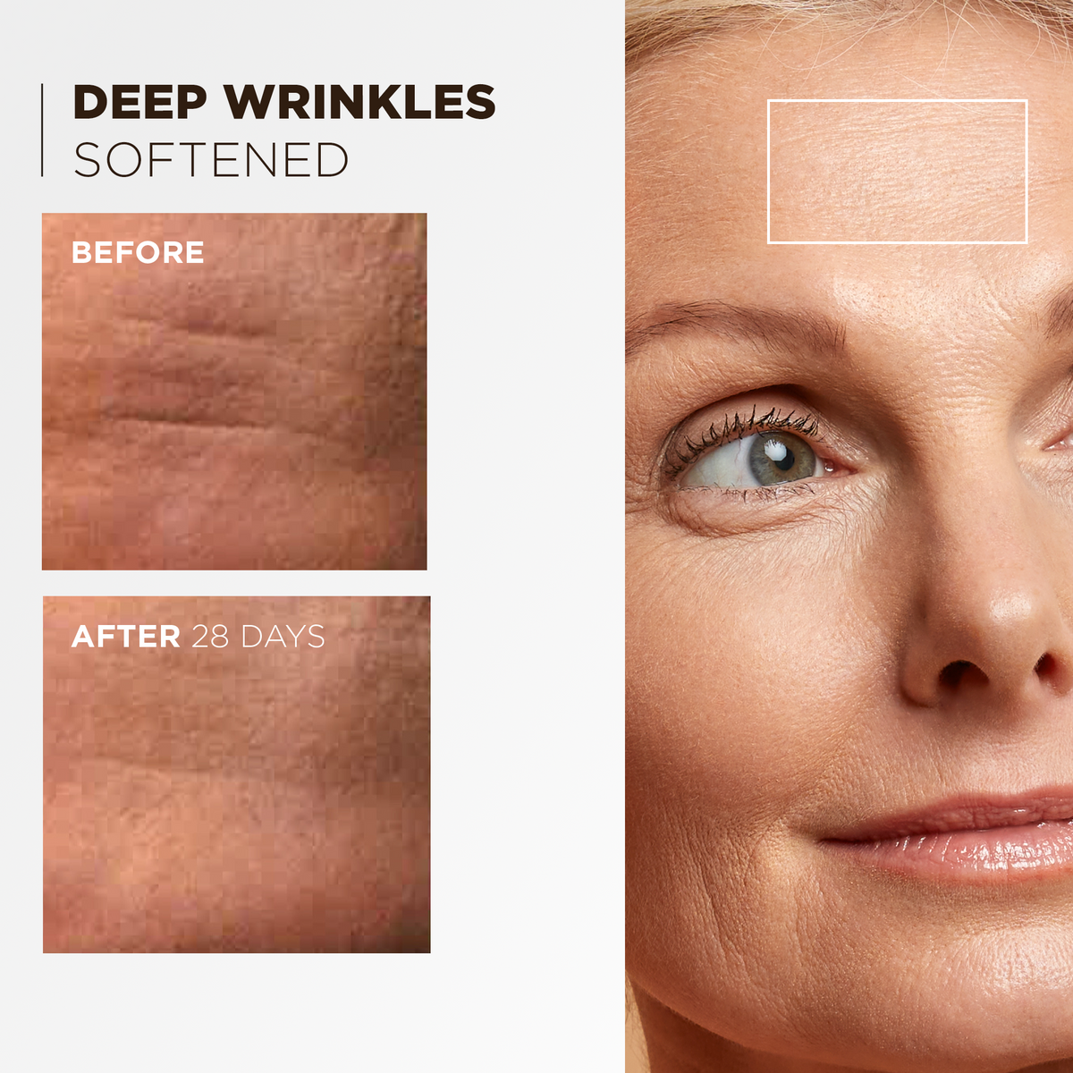 La Crème Collagène Lift & Fermeté