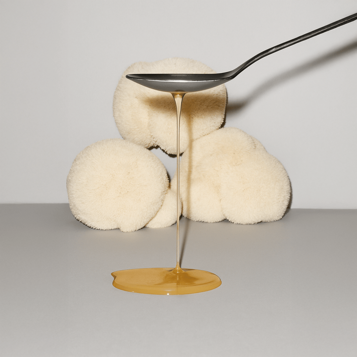 Organic Lion's Mane Extract