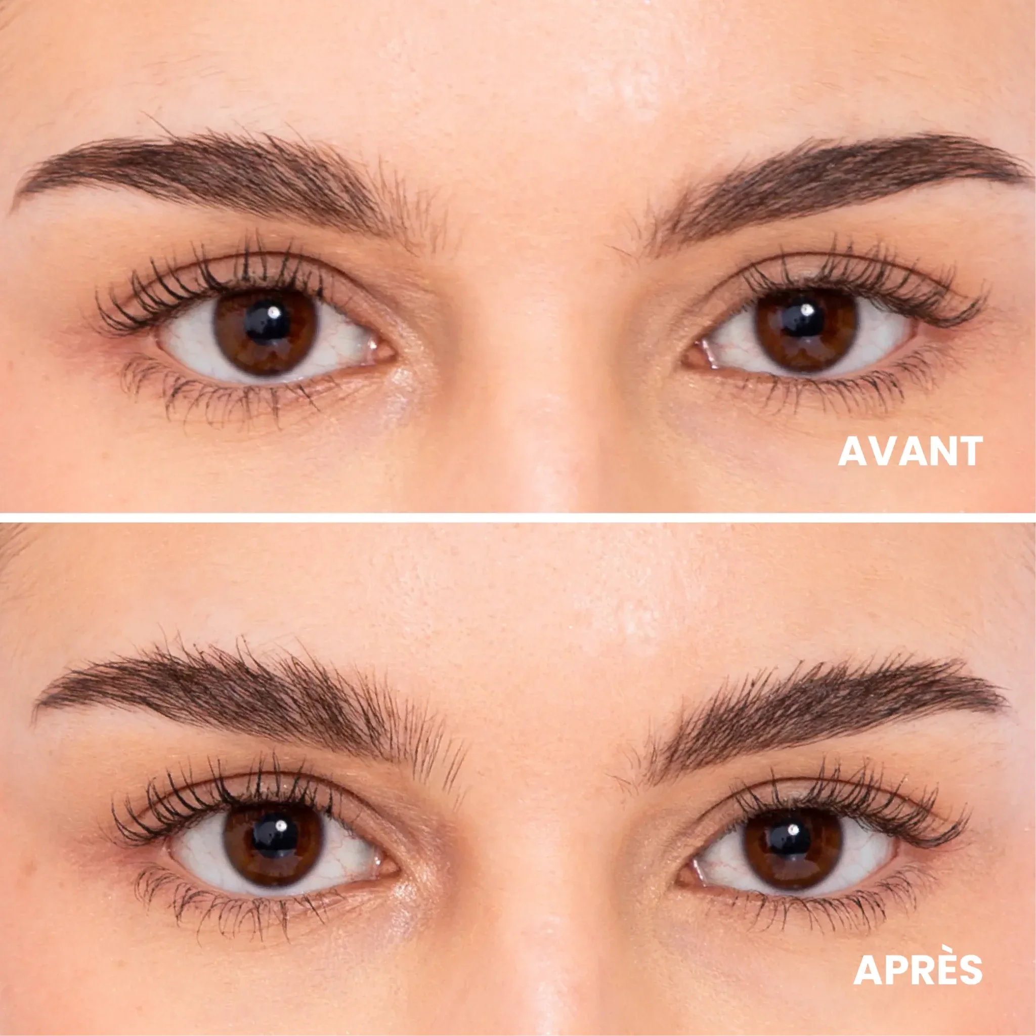 Gel - Tinted brow mascara