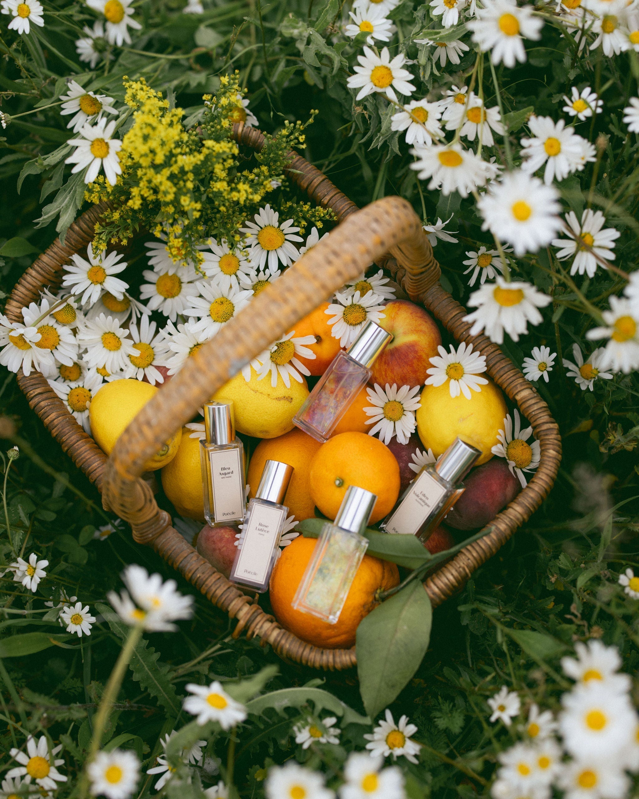 Les 8 parfums