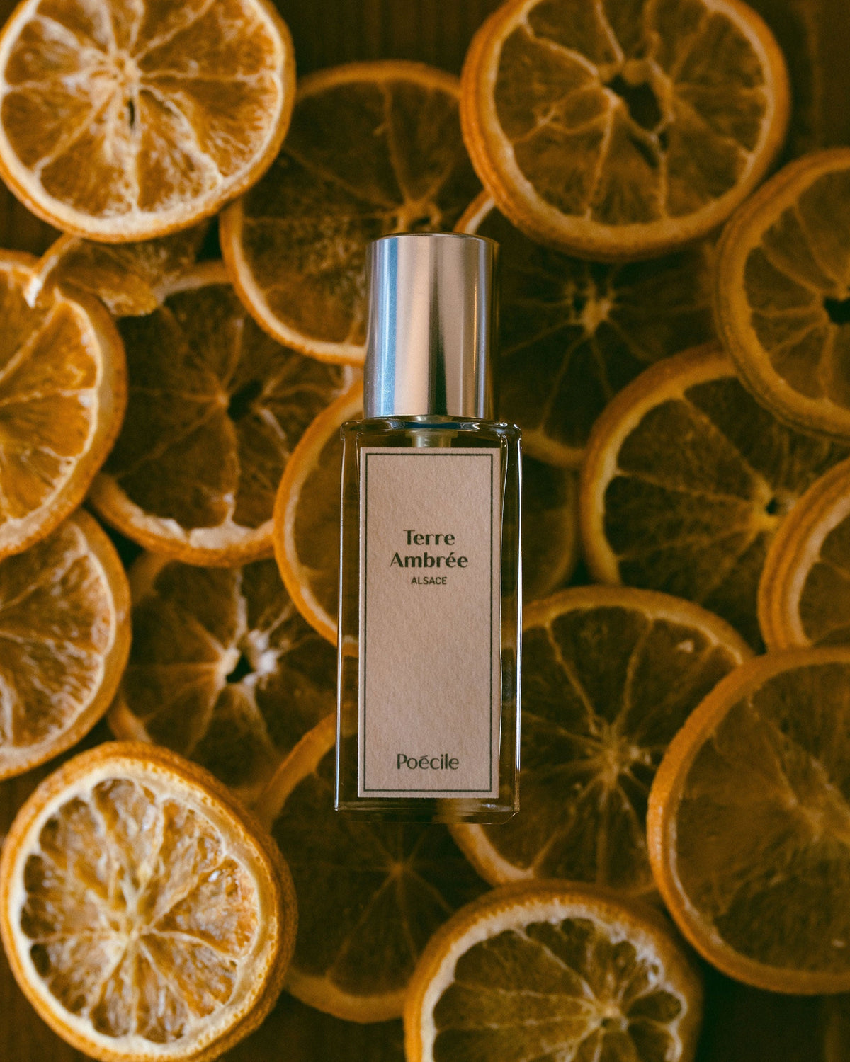 Amber Land