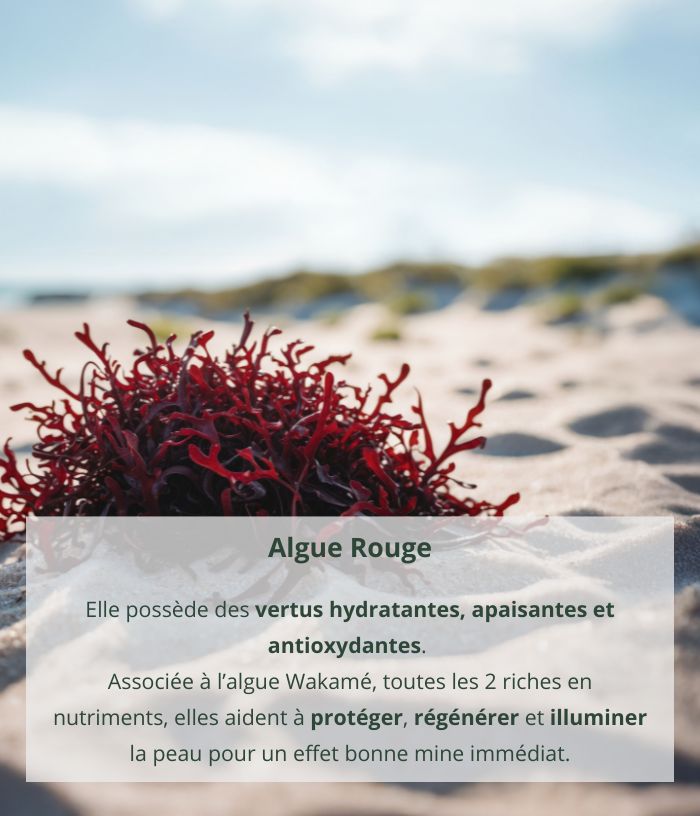 Masque de beauté à l’algue wakamé