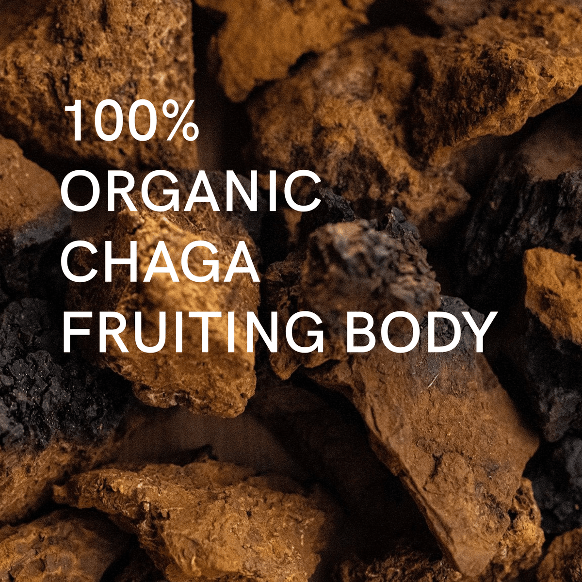 Organic Chaga Extract