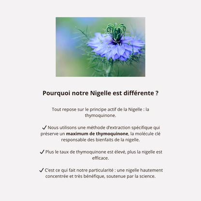 Immunité - Boostez vos défenses naturelles - Complément alimentaire formulé par un Pharmacien