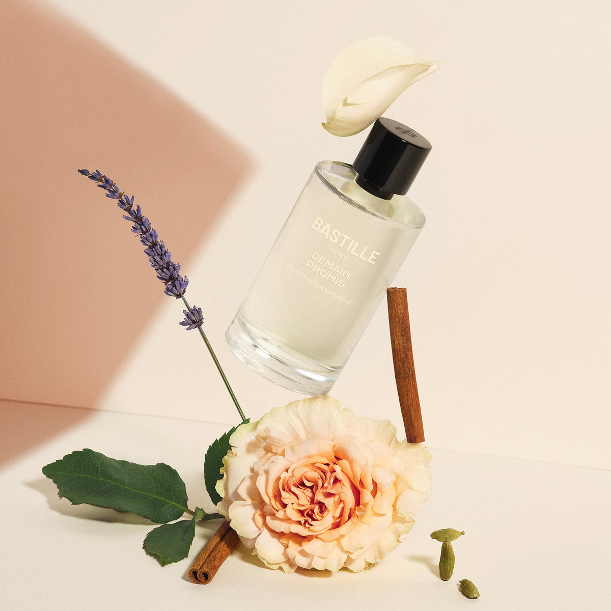 TOMORROW PROMISED - Eau de parfum