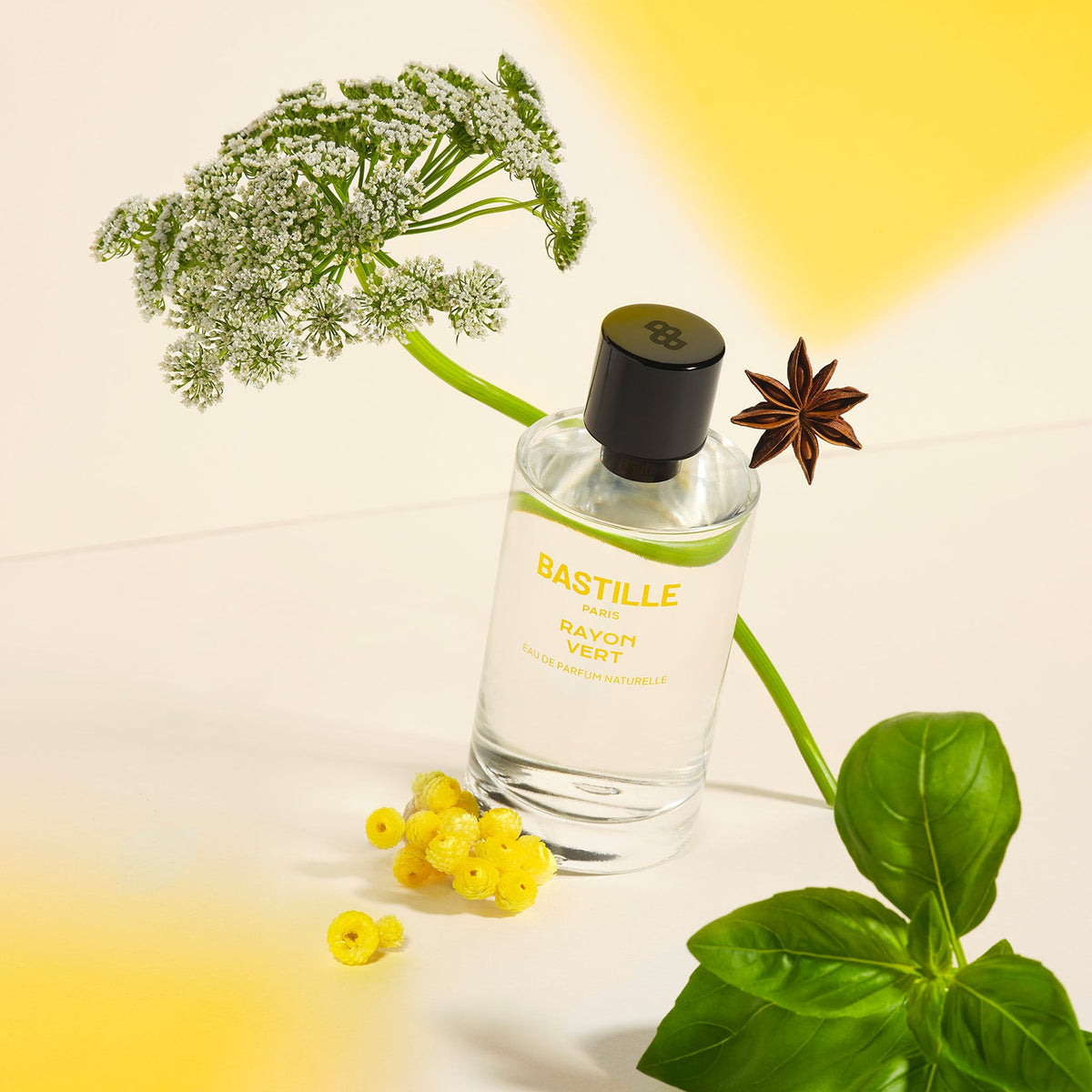 RAYON VERT - Eau de parfum
