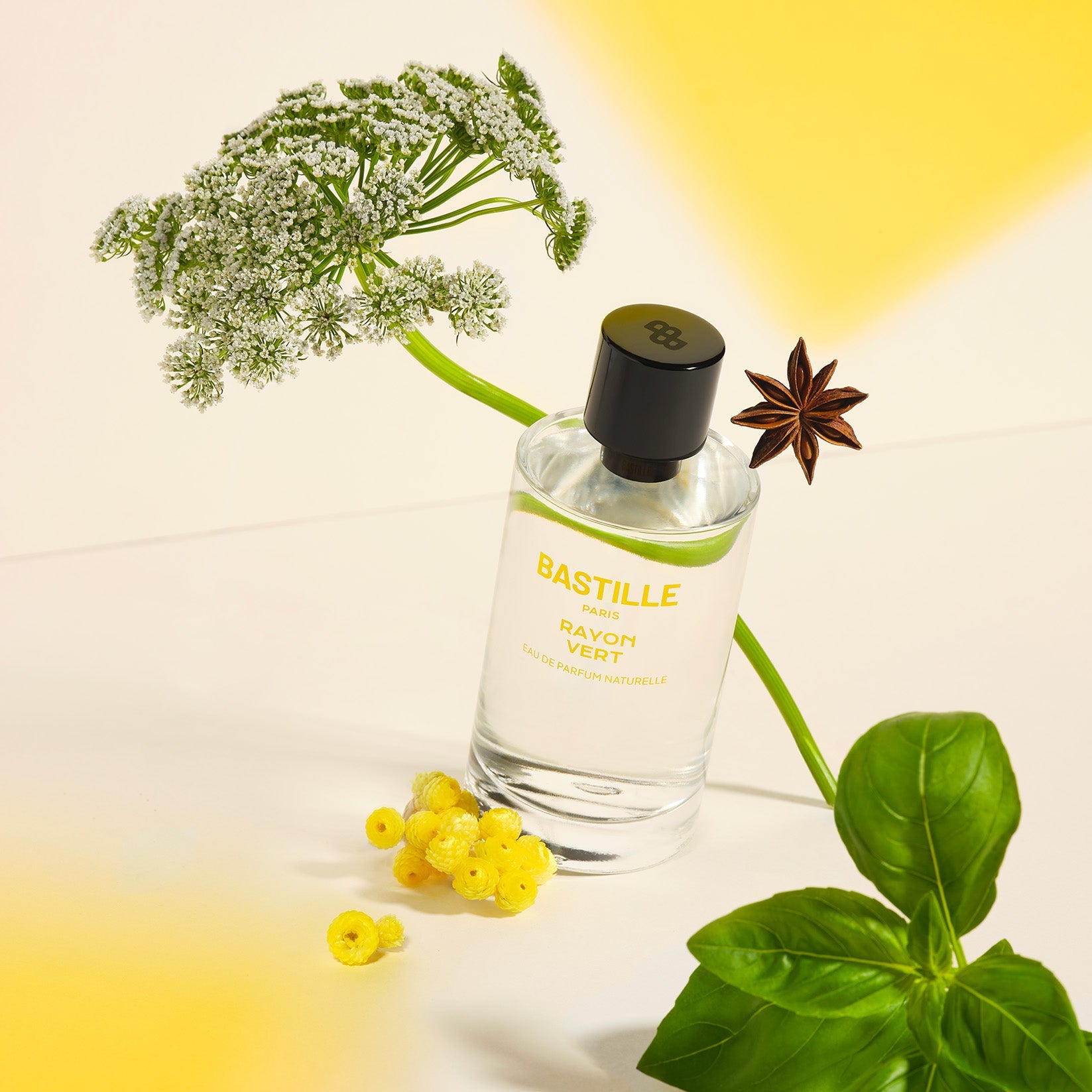 RAYON VERT - Eau de parfum