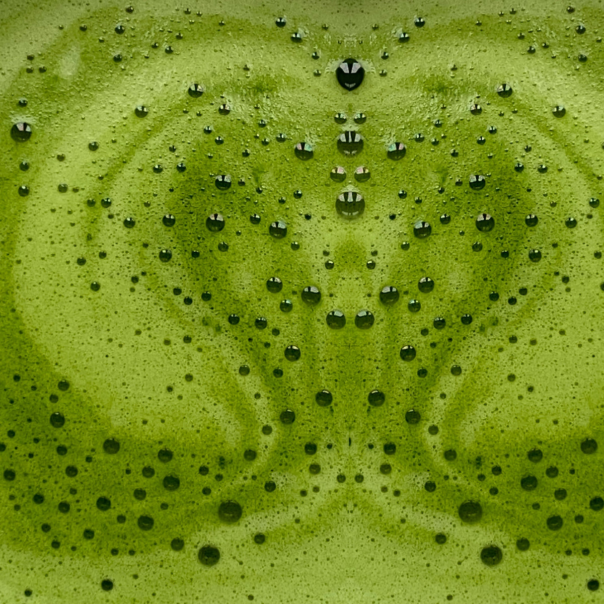 [MY] MATCHA LATTE ACTIVATEUR DE MÉTABOLISME