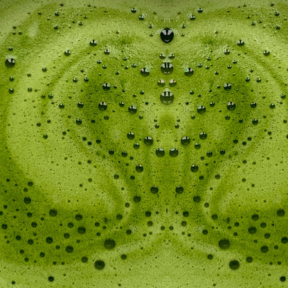 [MY] MATCHA LATTE ACTIVATEUR DE MÉTABOLISME