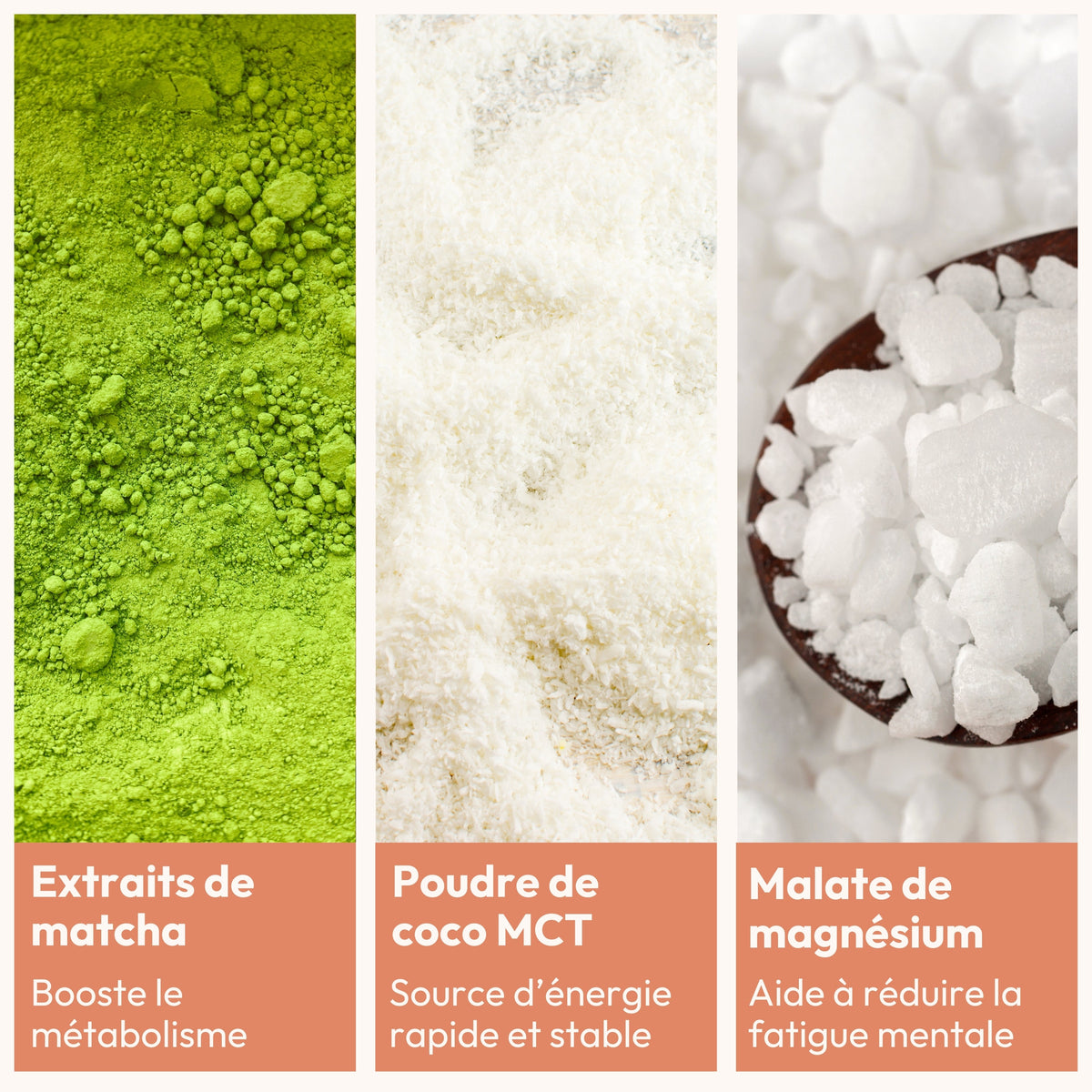 [MY] MATCHA LATTE ACTIVATEUR DE MÉTABOLISME