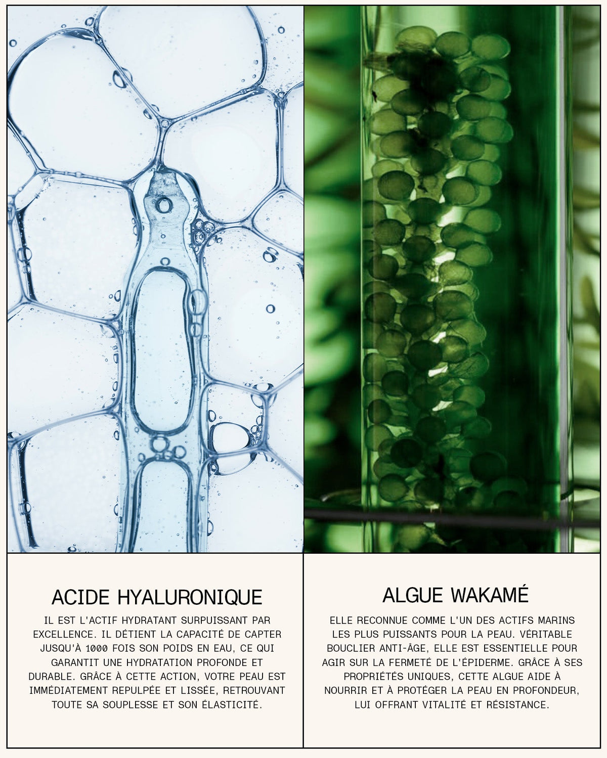 Sérum lèvres régénérant Acide hyaluronique + Wakamé