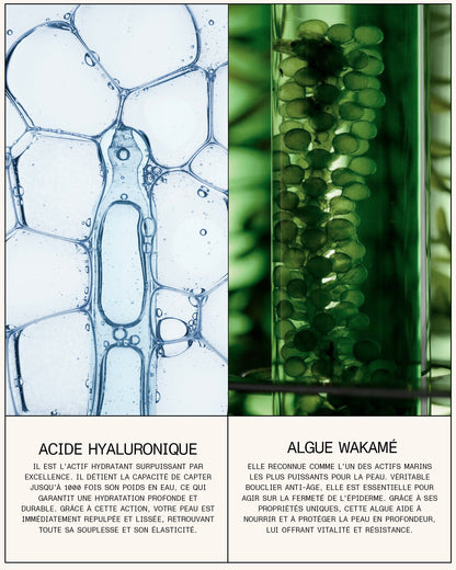 Sérum lèvres régénérant Acide hyaluronique + Wakamé