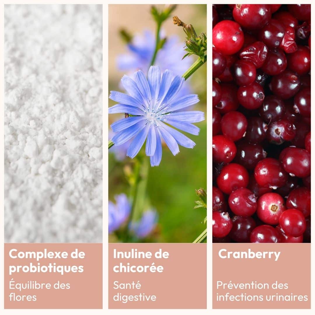 [MY] ESSENTIELS FLORE INTIME ET INTESTINALE