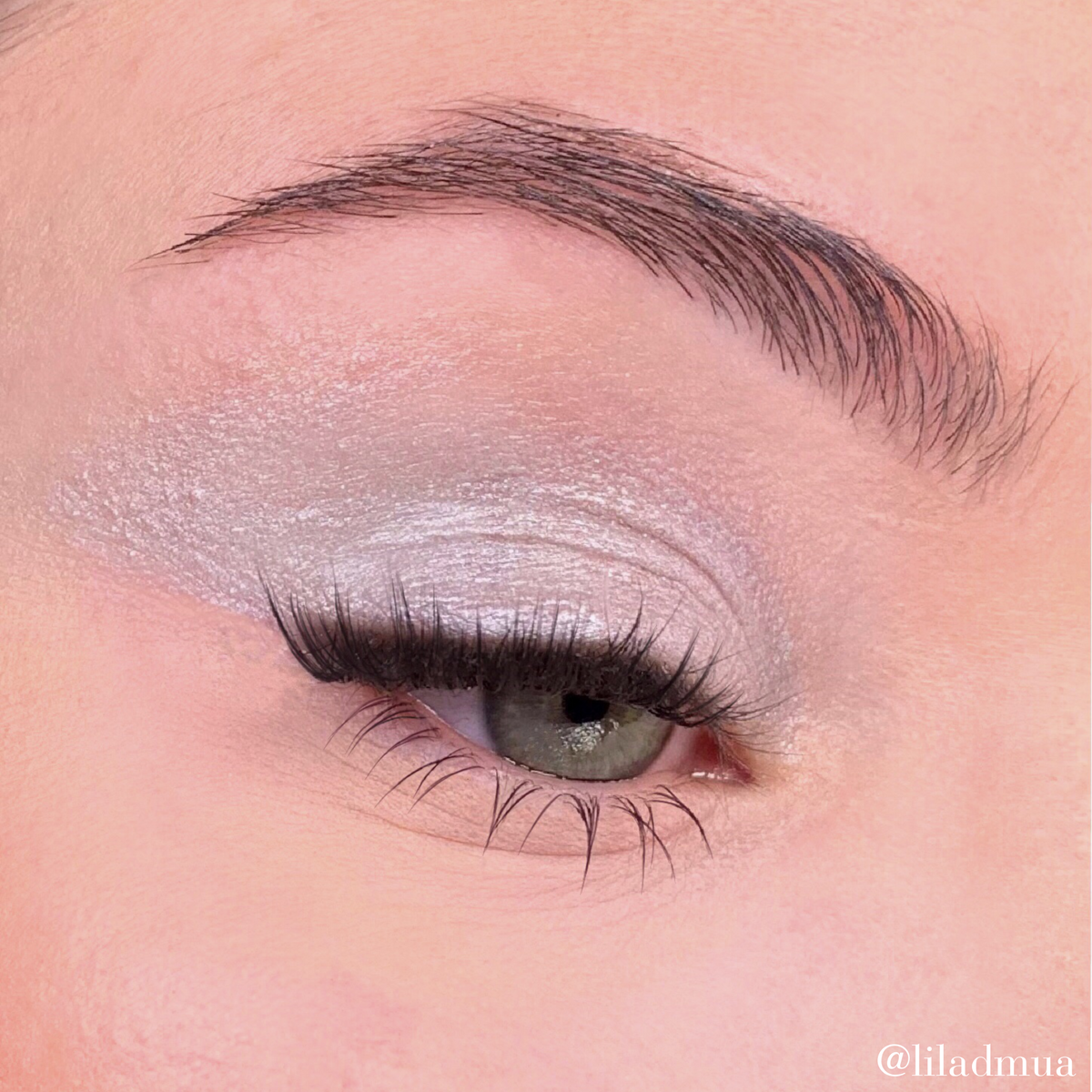 Eyeshadow | Silver Gray 301