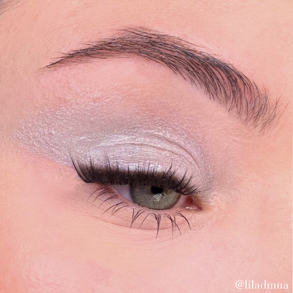 Eyeshadow | Silver Gray 301
