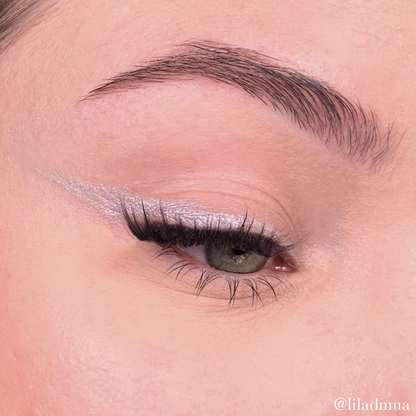 Eyeshadow | Silver Gray 301