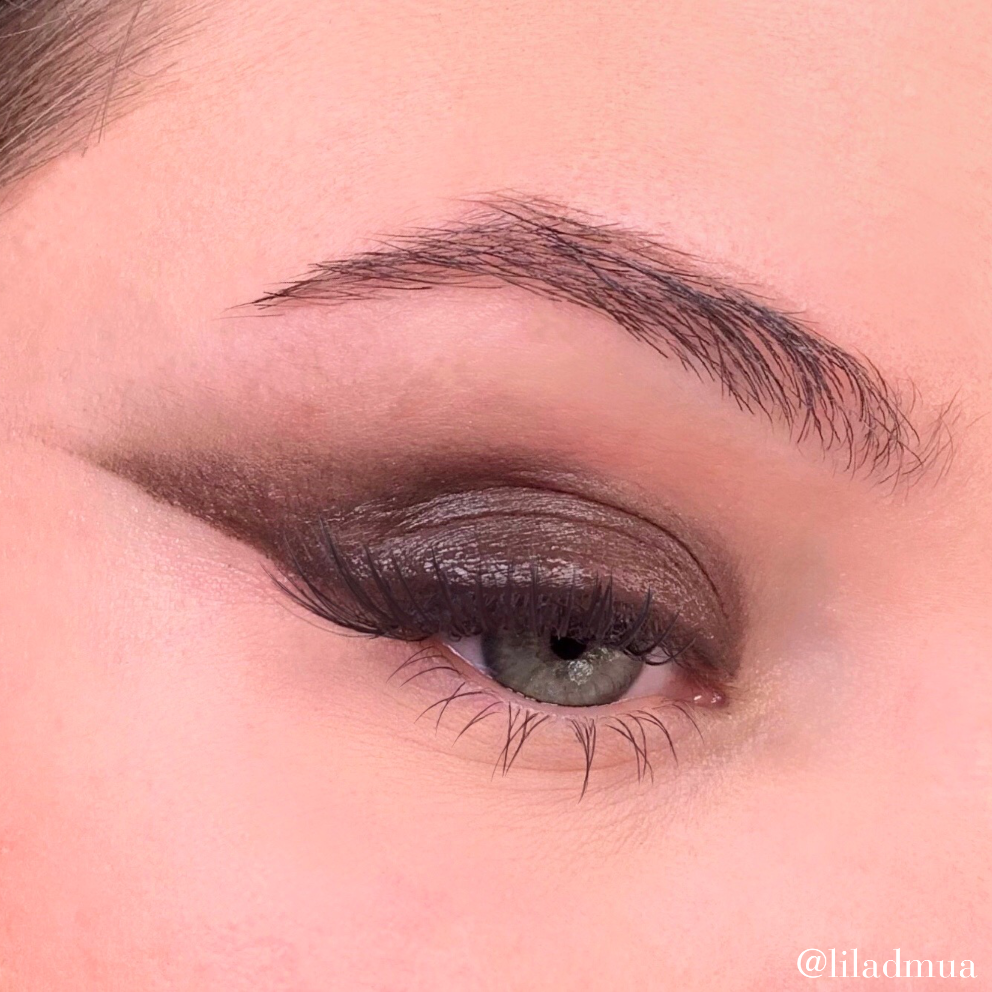 Eyeshadow | Brown 303