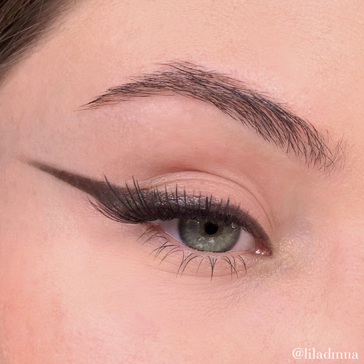 Eyeshadow | Brown 303