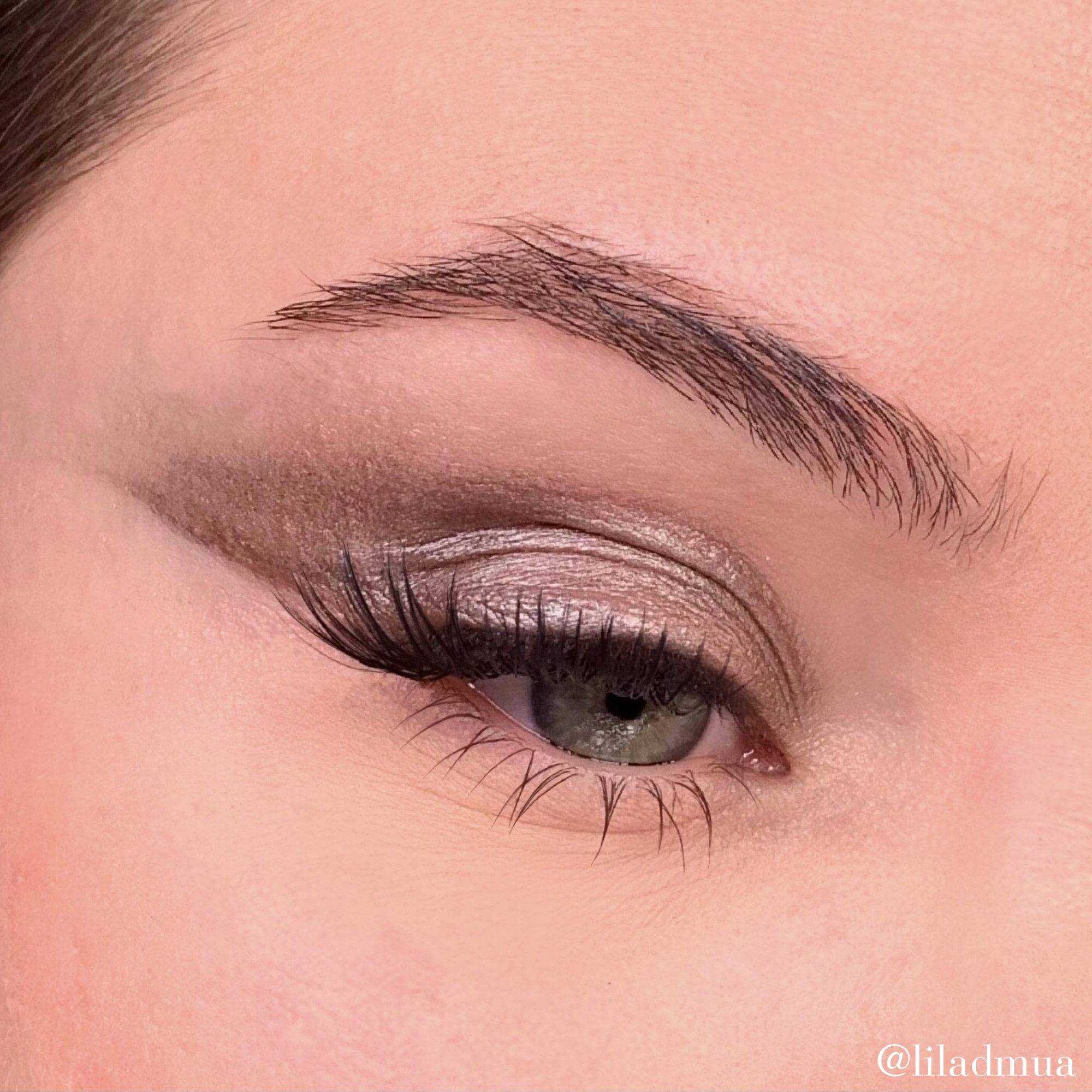 Eyeshadow | Mole 309