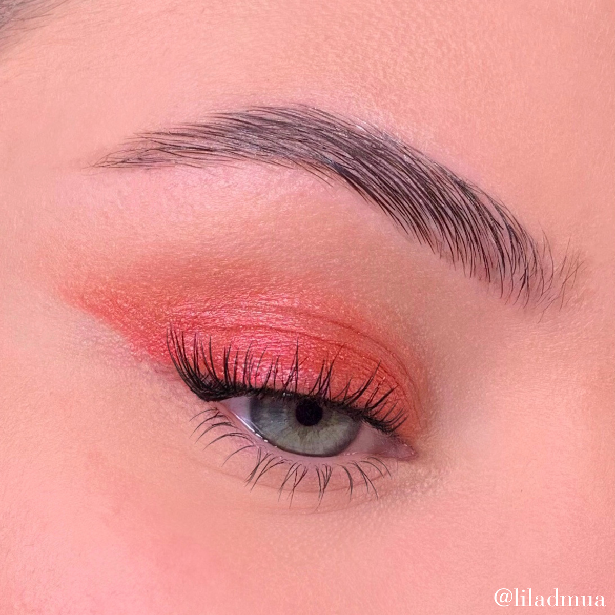 Eyeshadow | Coral 324