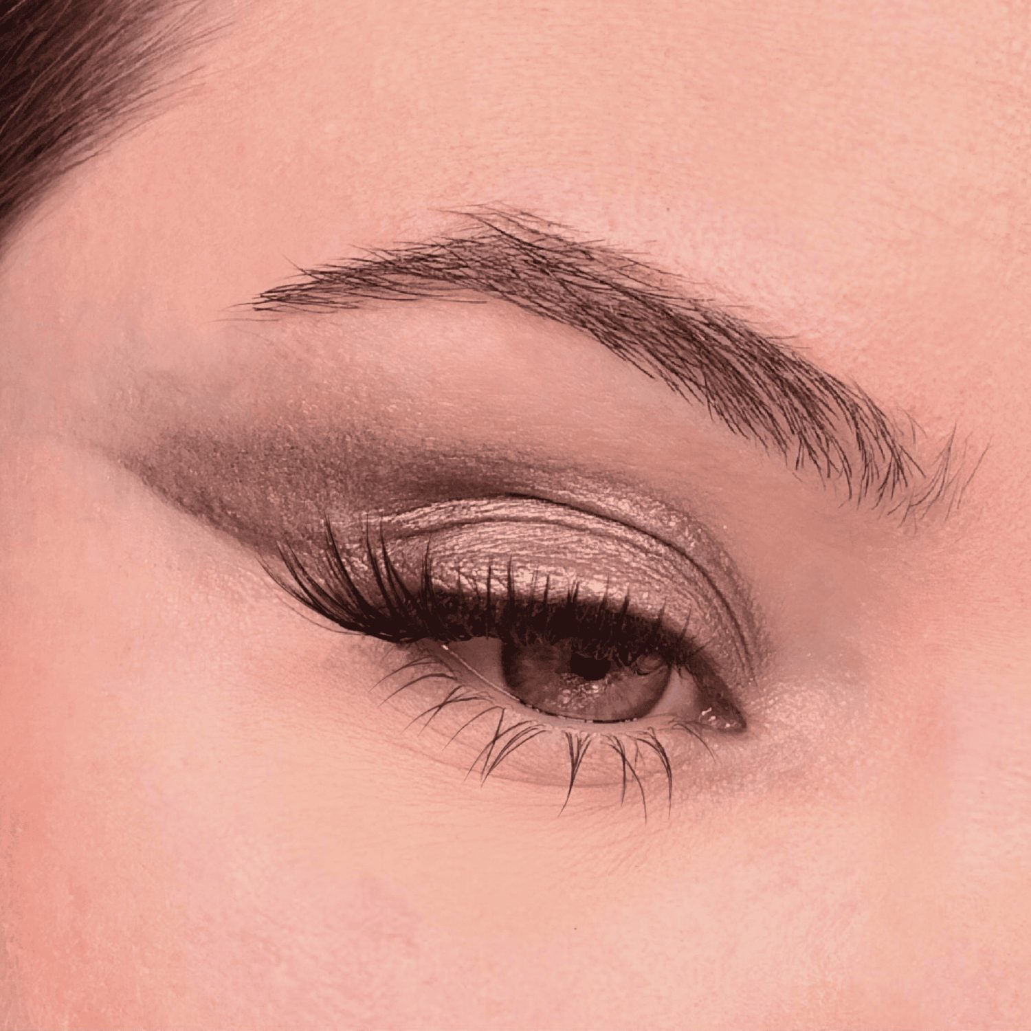4 Eyeshadow Kit | THE BEST OF