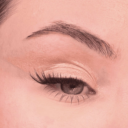 4 Eyeshadow Kit | THE BEST OF