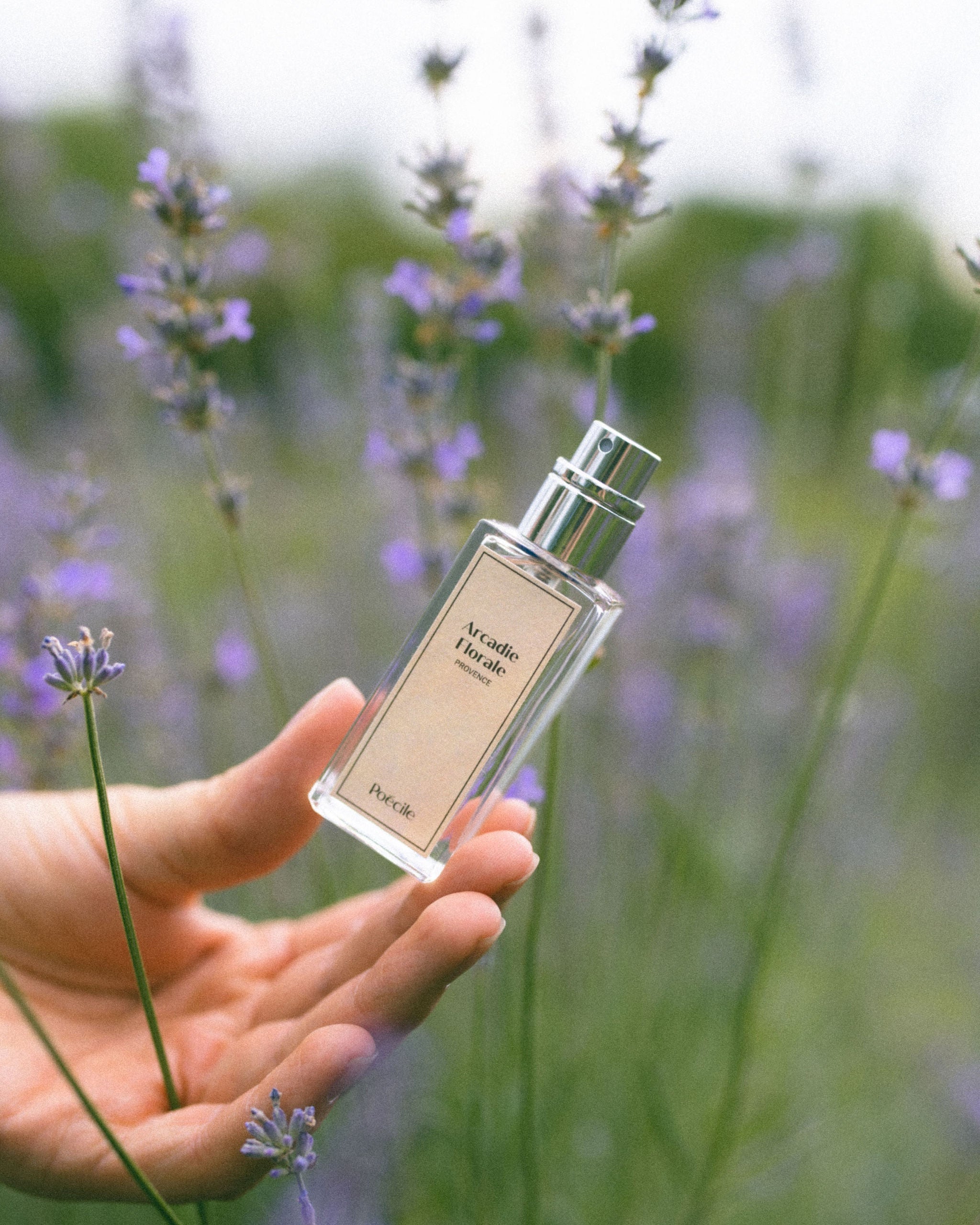 Arcadia Floral